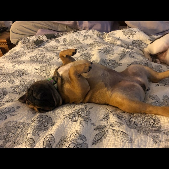 Meet your Posher, Jeff - Picture 1 of 1